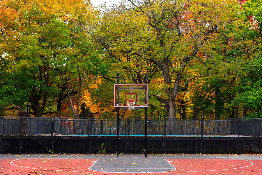 Tompkins Park (Fall)