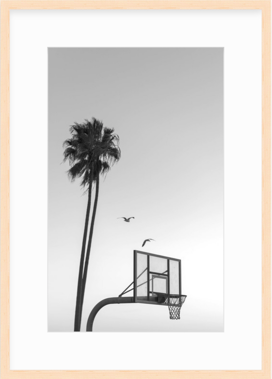 2 birds (black & white)
