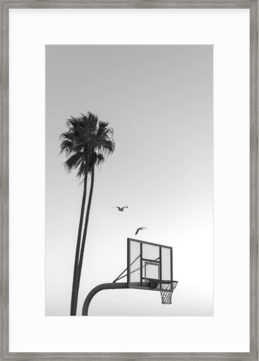 2 birds (black & white)