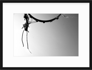 string