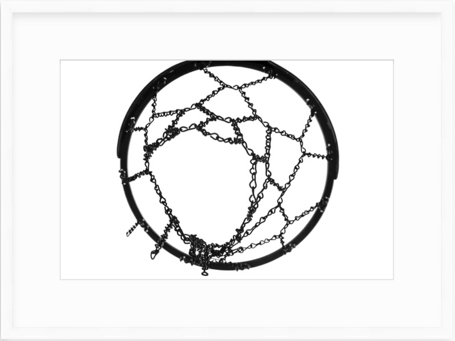 circle of life
