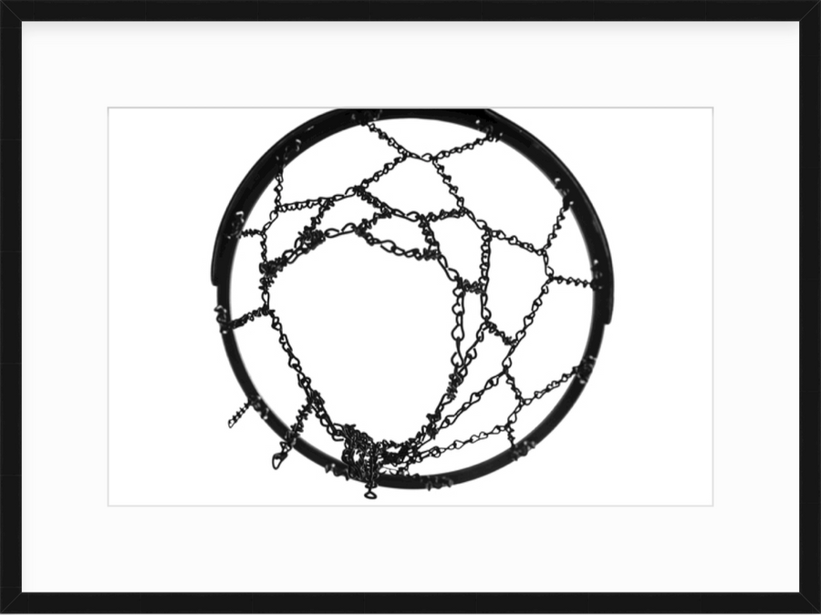 circle of life