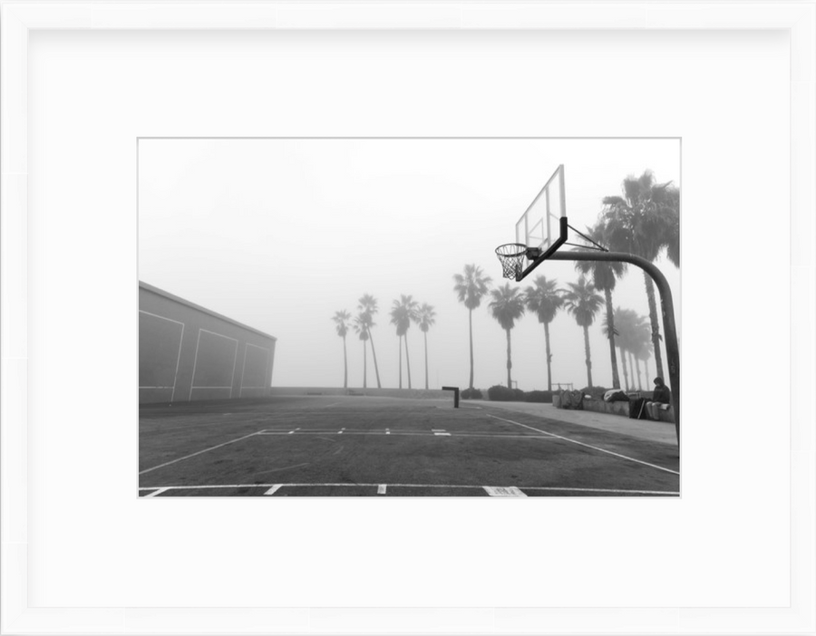 palms in fog