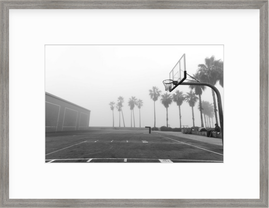 palms in fog