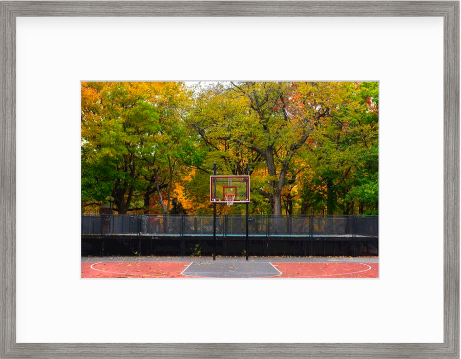 Tompkins Park (Fall)