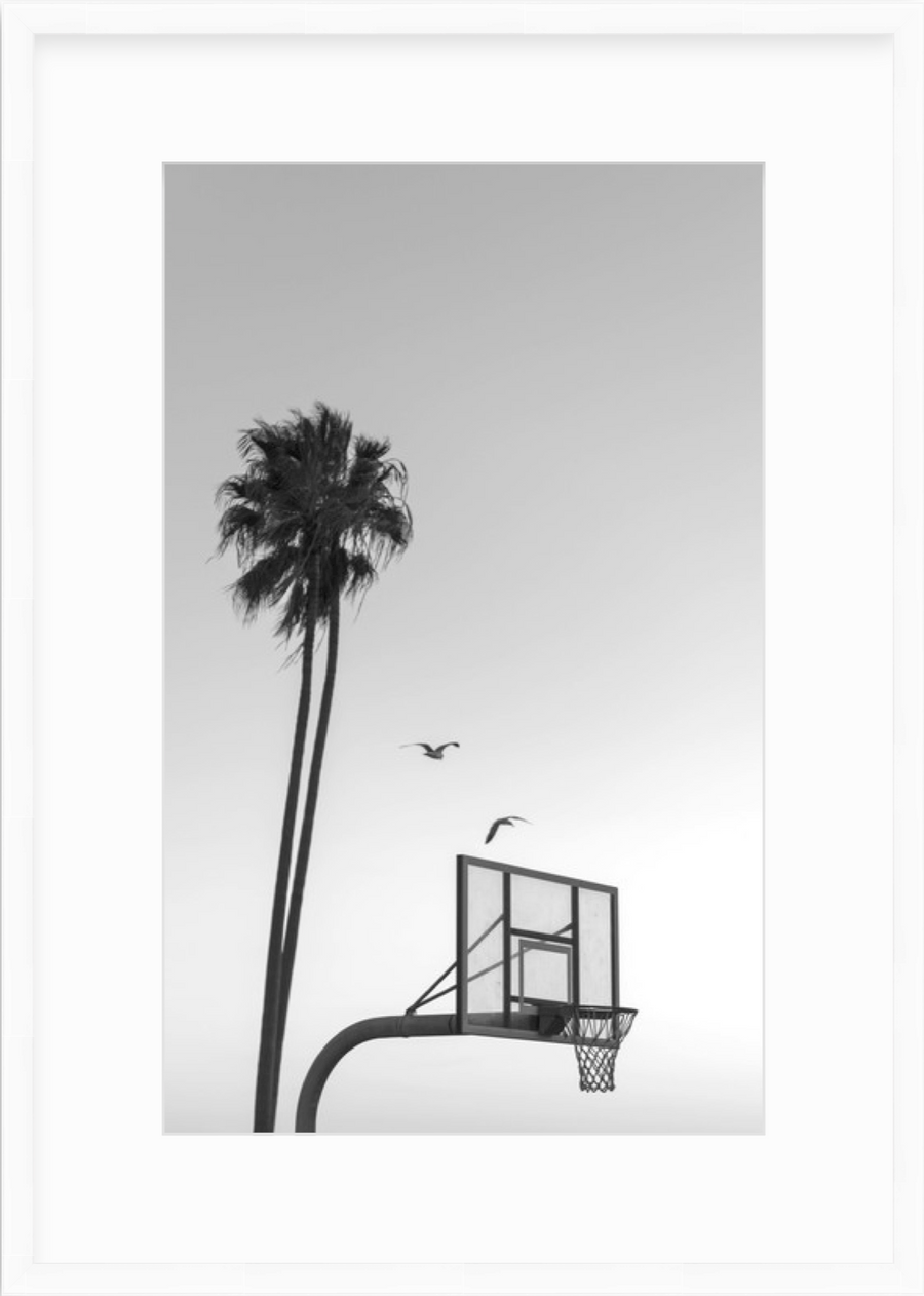 2 birds (black & white)