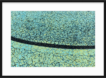 Crocodile Skin