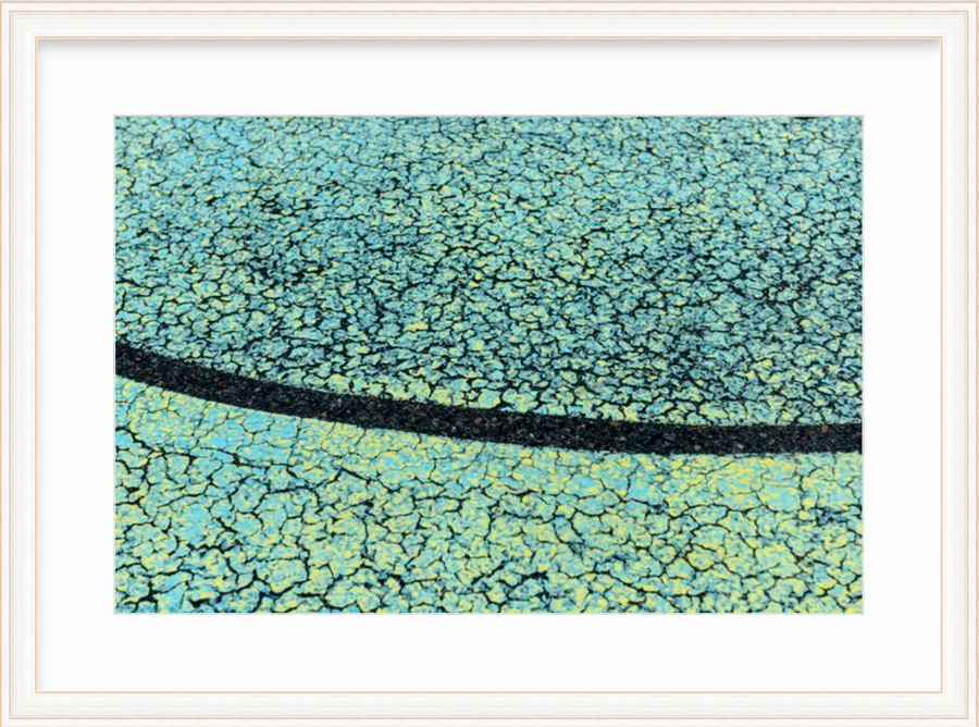 Crocodile Skin