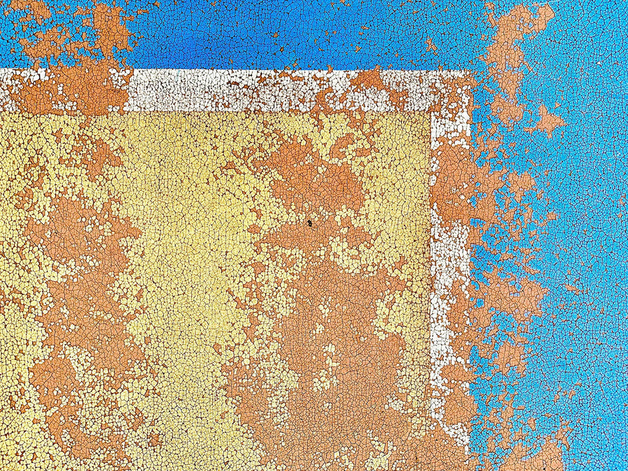 Yoyogi Park, Tokyo