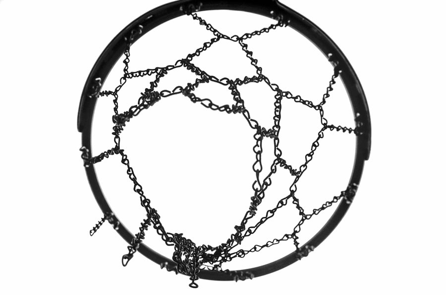 circle of life