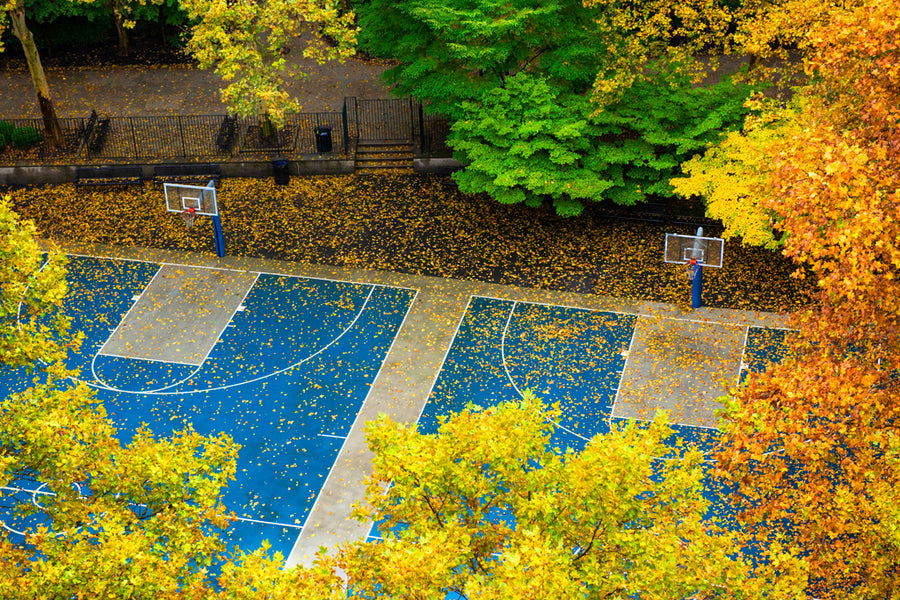 Fall