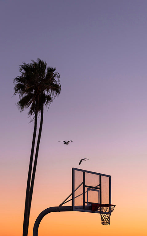 Freedom