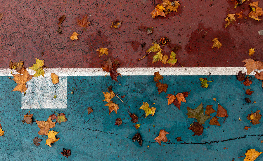 Autumn in NYC